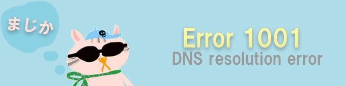 error1001-dns-resolution